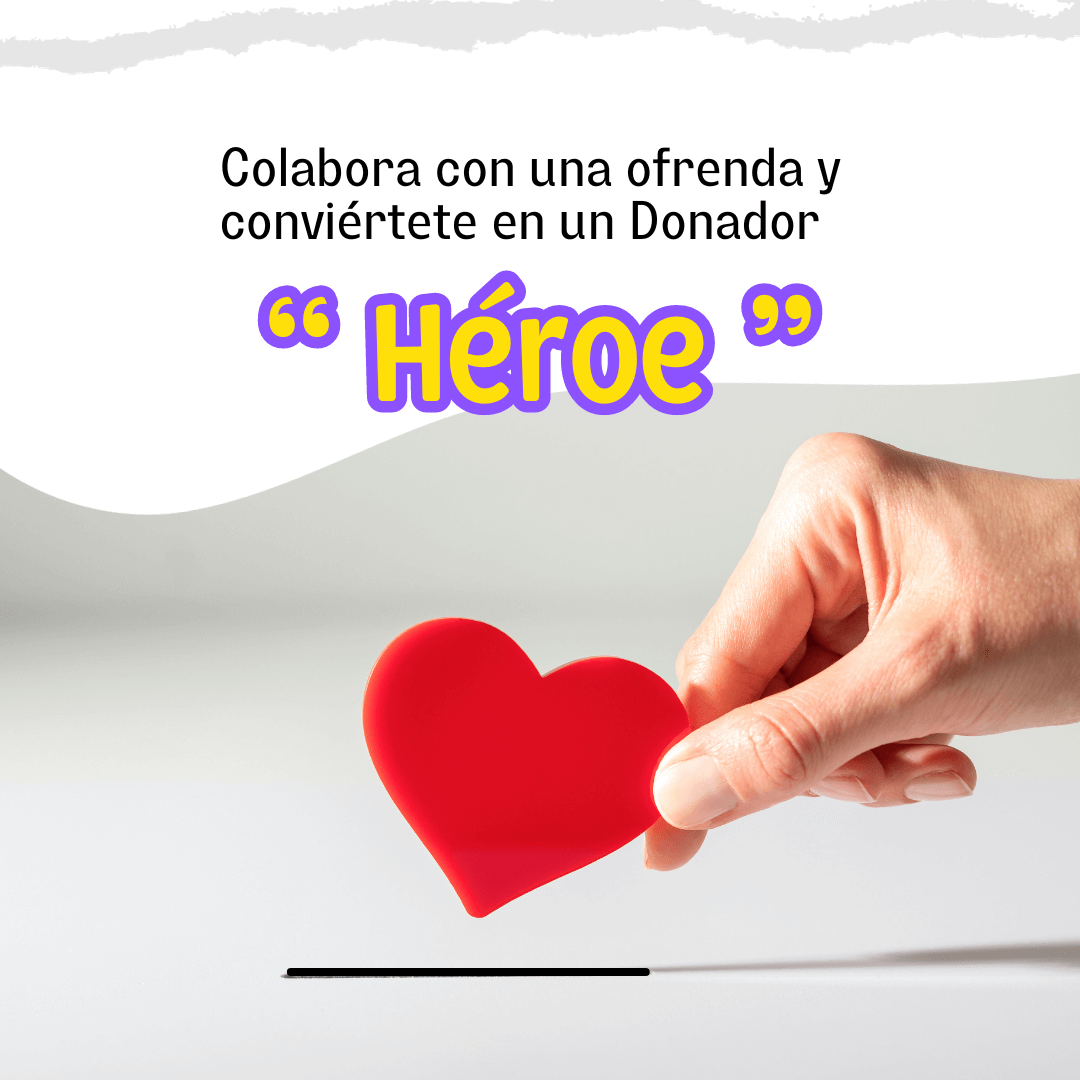 Misión Renacer ONG